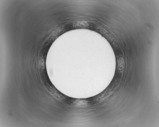 X0000115420617200912011328