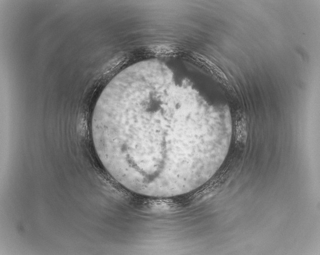 X0000115420618200912011328