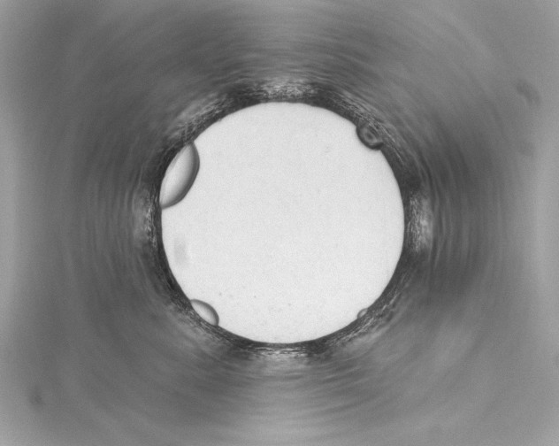 X0000115420619200912011328