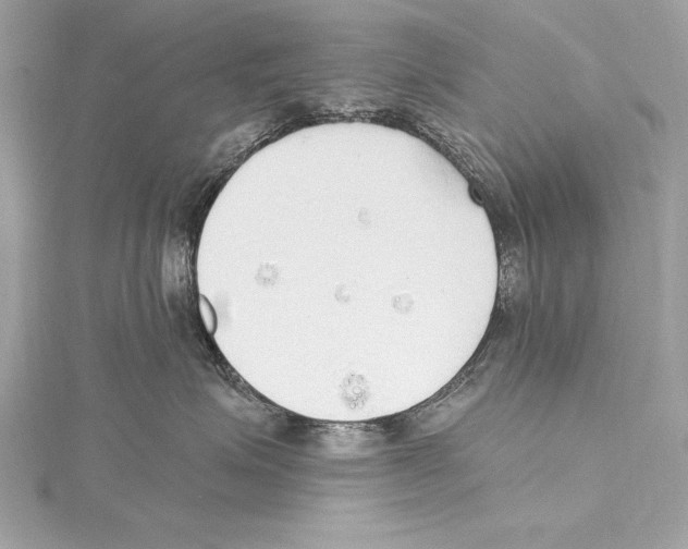 X0000115420623200912011328