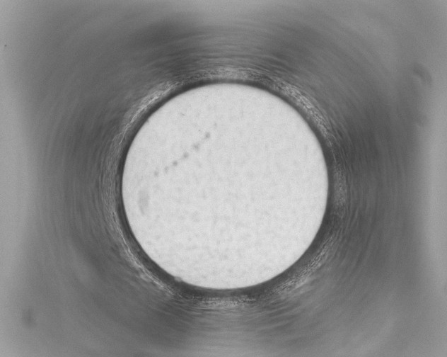 X0000115420625200912011327