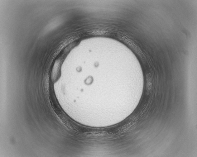 X0000115420626200912011327