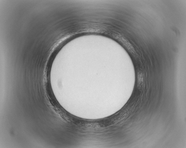 X0000115420628200912011327