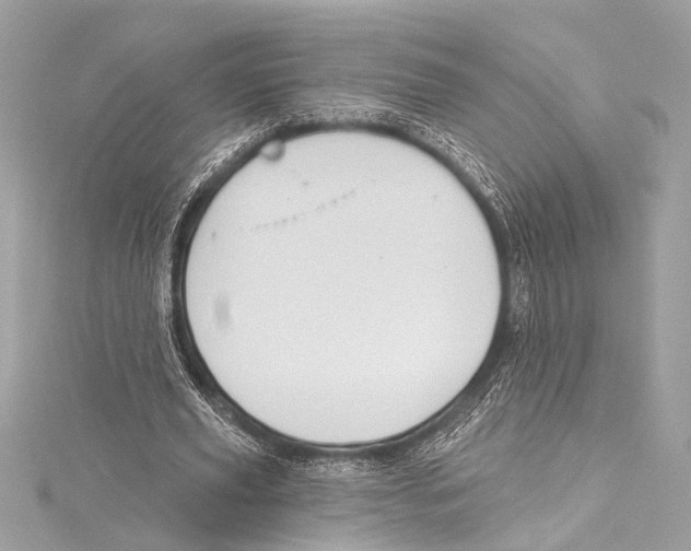 X0000115420629200912011327