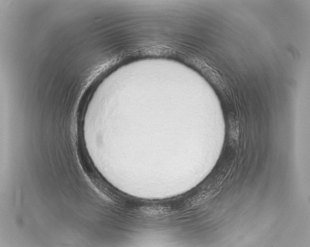 X0000115420630200912011327