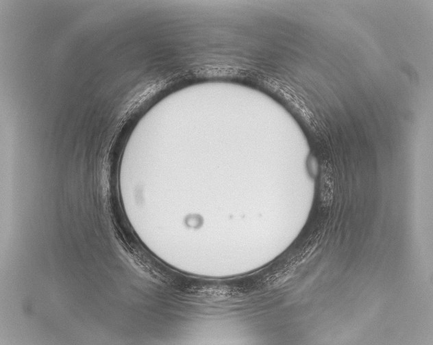 X0000115420631200912011327