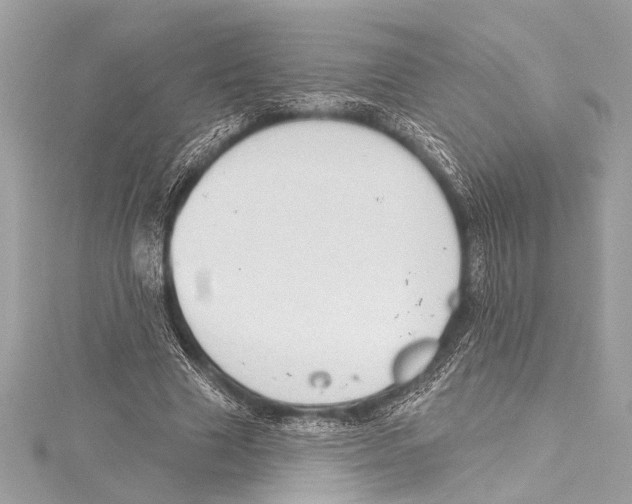 X0000115420633200912011327