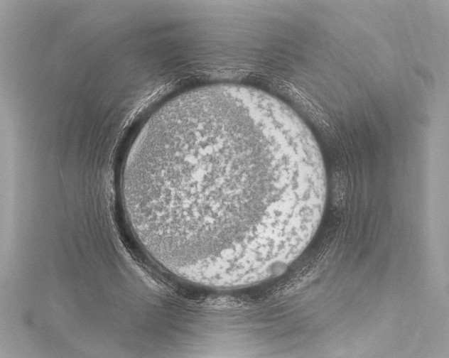 X0000115420634200912011327