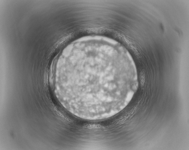 X0000115420637200912011327