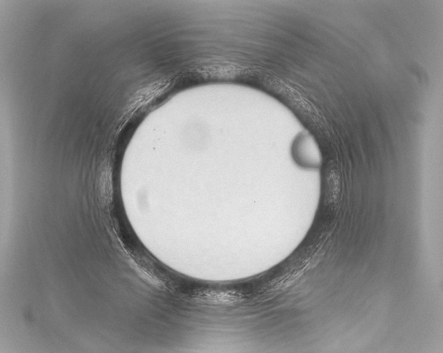 X0000115420638200912011327