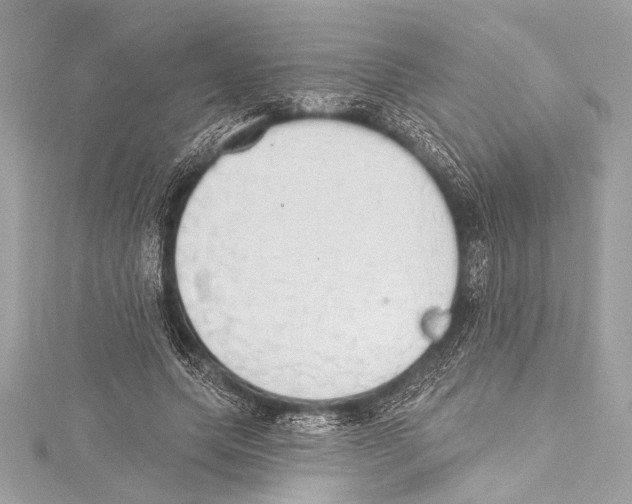 X0000115420639200912011327