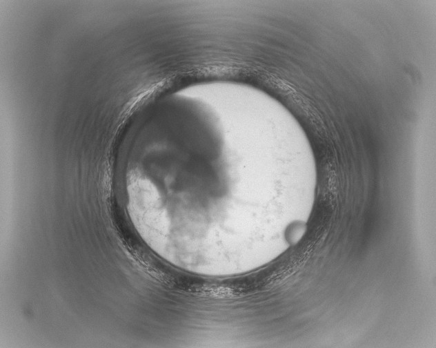 X0000115420640200912011327