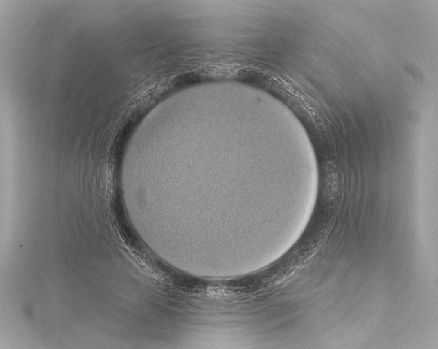 X0000115420641200912011327