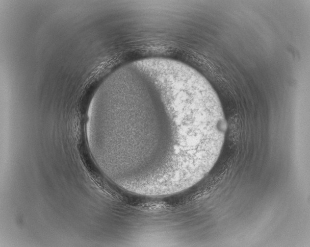 X0000115420642200912011327