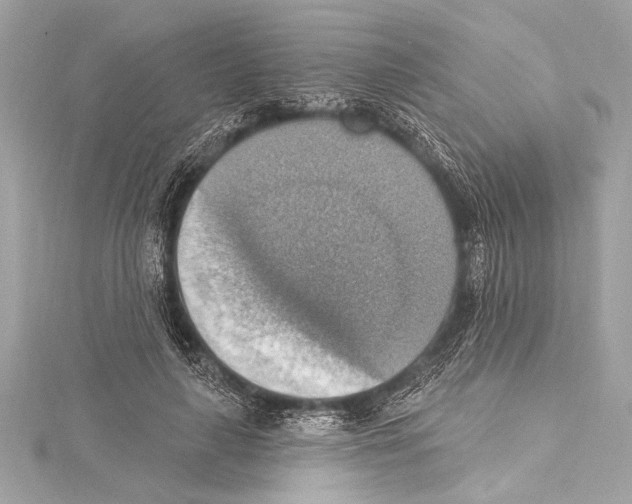 X0000115420643200912011327