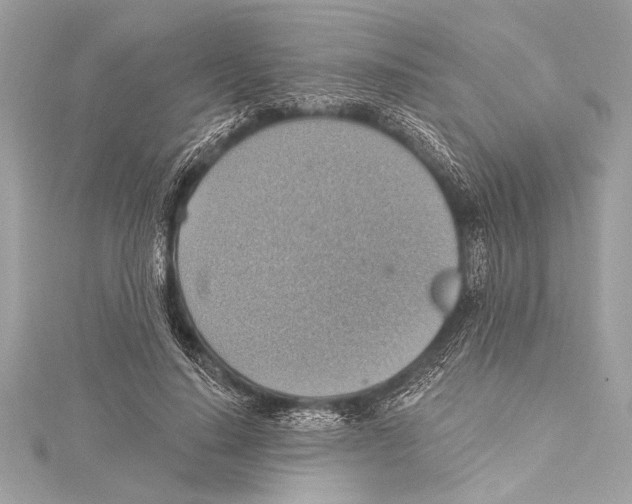 X0000115420644200912011327