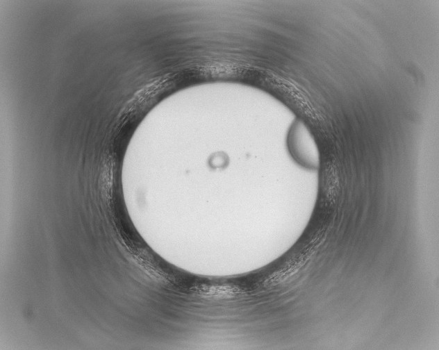 X0000115420645200912011327