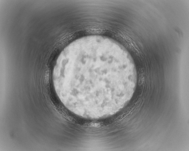 X0000115420647200912011327