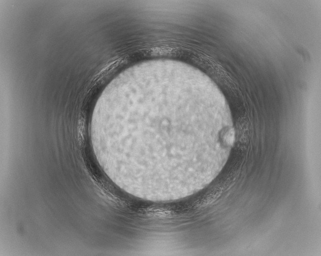 X0000115420648200912011327