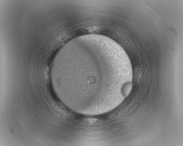 X0000115420650200912011327