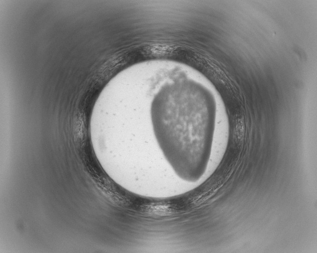 X0000115420651200912011327