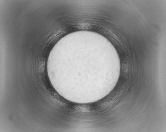 X0000115420652200912011327