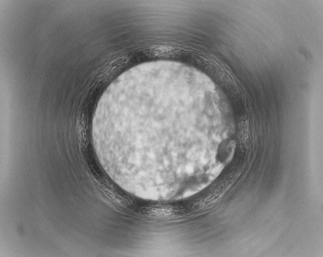 X0000115420653200912011327