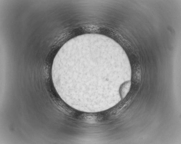 X0000115420658200912011327