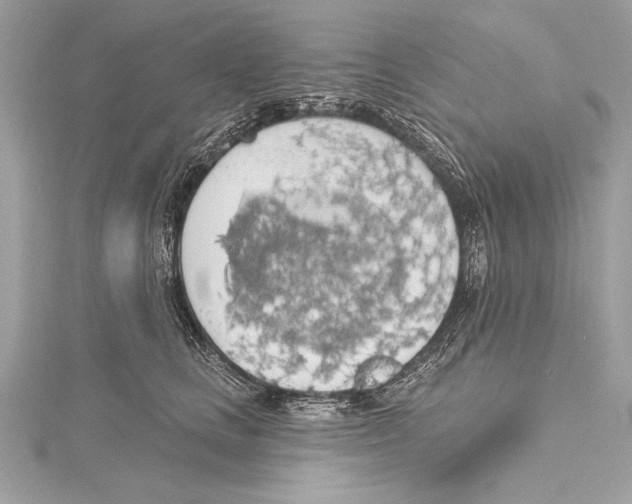 X0000115420661200912011327