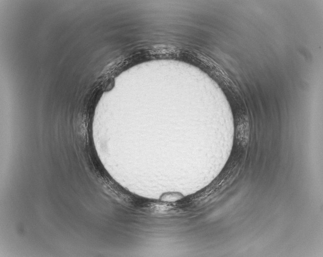 X0000115420662200912011327