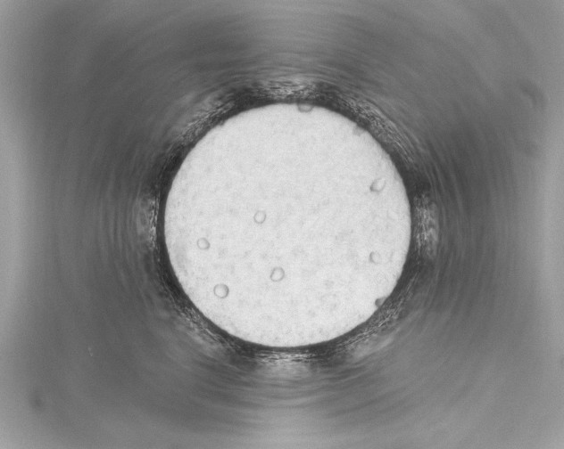 X0000115420664200912011328