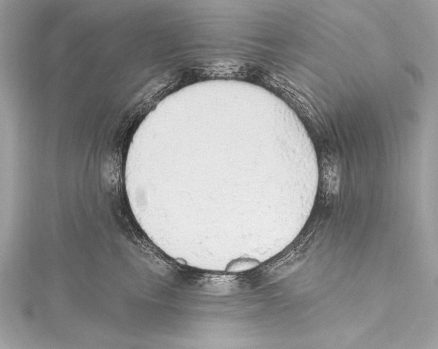 X0000115420665200912011328