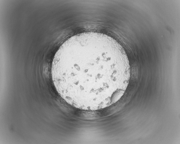 X0000115420671200912011328