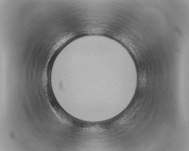 X0000115420674200912011327