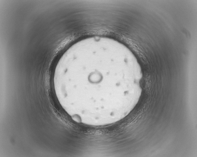 X0000115420679200912011327