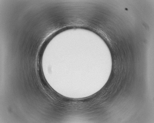 X0000115420680200912011327