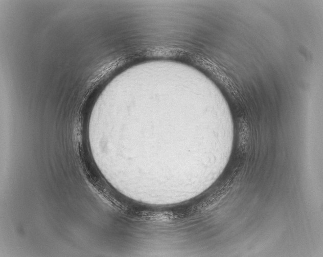 X0000115420683200912011327