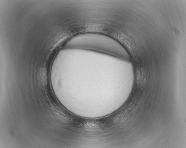 X0000115420684200912011327