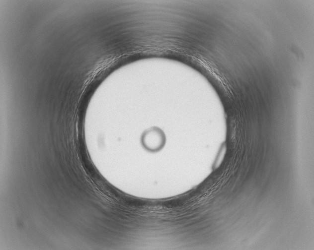 X0000115420685200912011327