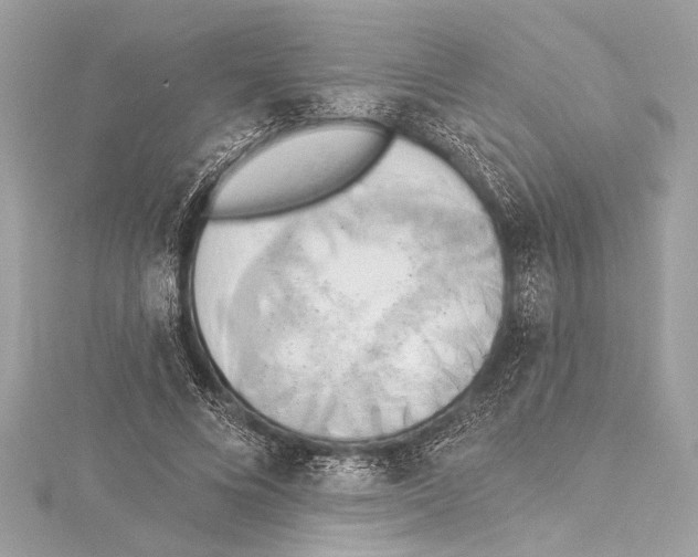 X0000115420688200912011327