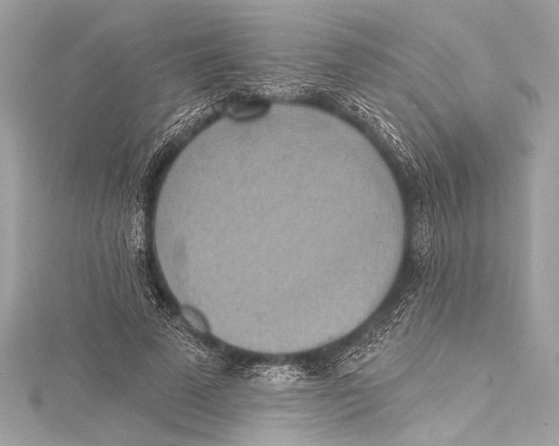 X0000115420689200912011327