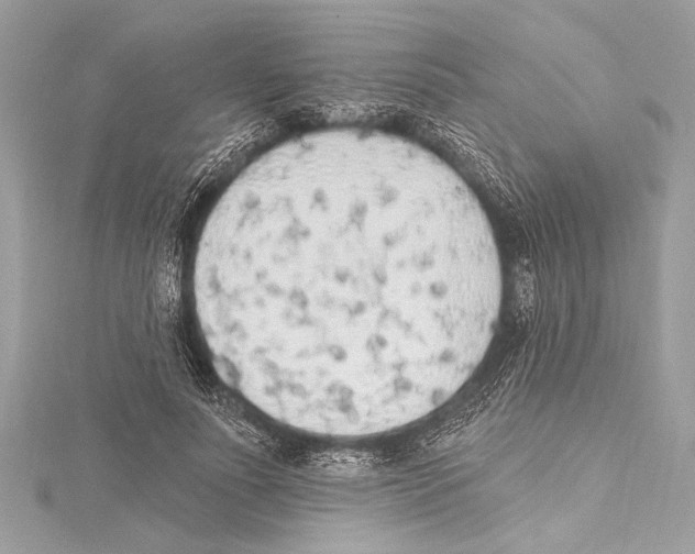 X0000115420691200912011327