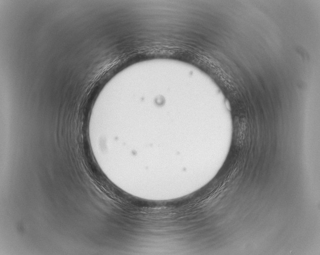 X0000115420692200912011327