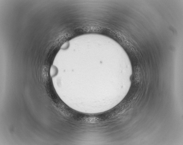 X0000115420695200912011327