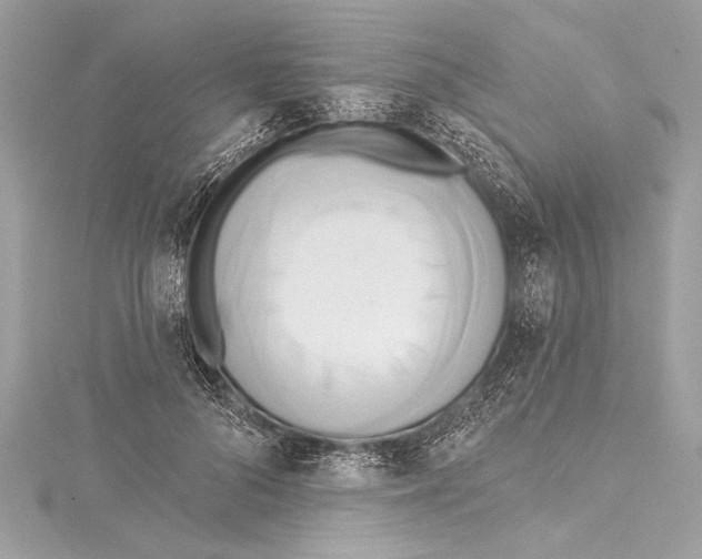 X0000115420696200912011327