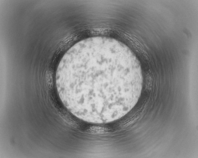 X0000115420699200912011327