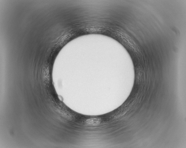 X0000115420700200912011327