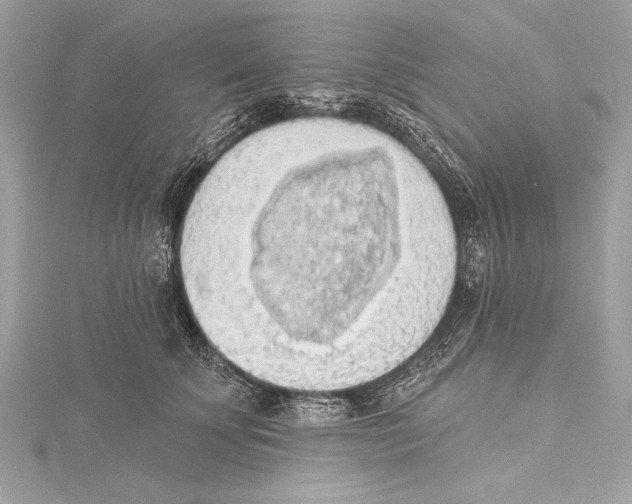 X0000115420707200912011327