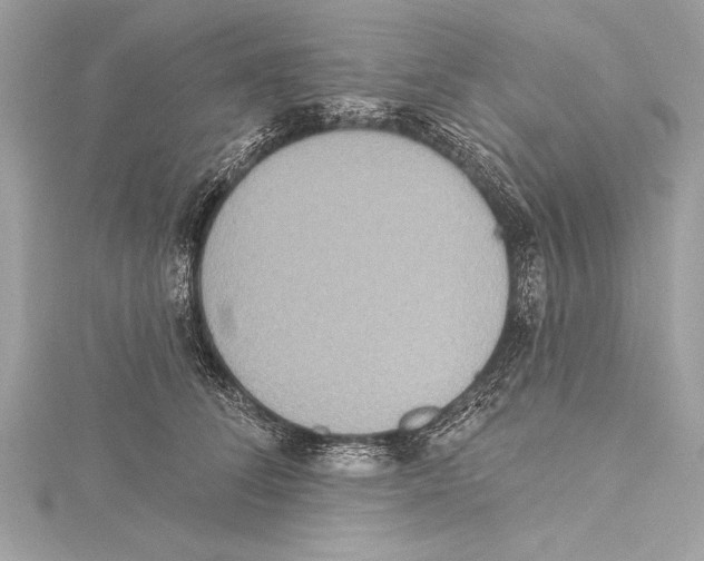 X0000115420708200912011327