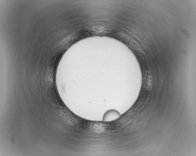 X0000115420710200912011327